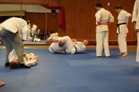 Bild (50)
